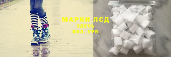 мяу мяу мука Арсеньев